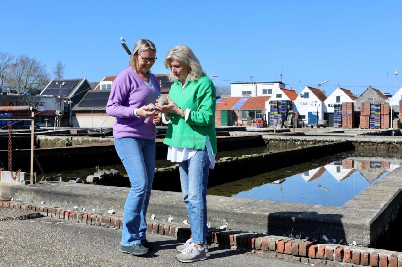 Vakantiewoning T Uusje Wemeldinge Zewnętrze zdjęcie